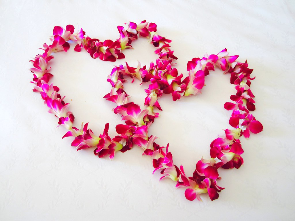 Best Valentine’s Day Jokes
